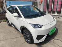 BYD Seagull 2025 (2900 км)