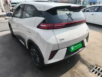 BYD Seagull 2025 (2900 км)