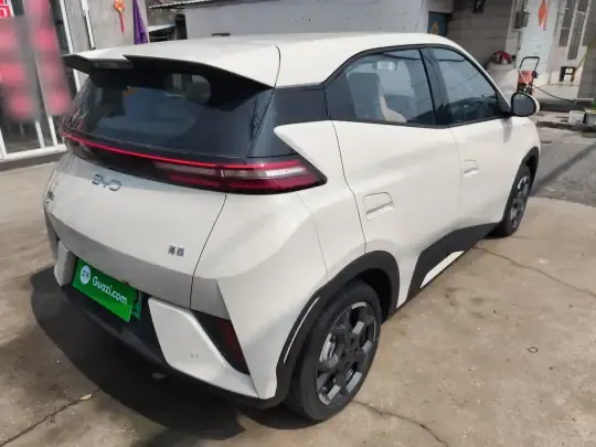 BYD Seagull 2025 (2900 км)