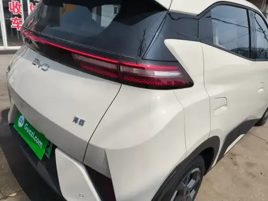 BYD Seagull 2025 (2900 км)