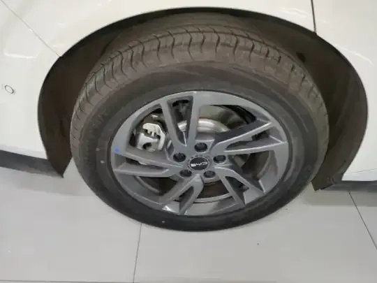 BYD Seal 06 New Energy 2025 (3000 км)