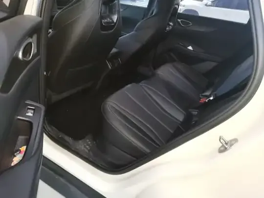 BYD Seal 06 New Energy 2025 (3000 км)