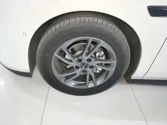 BYD Seal 06 New Energy 2025 (3000 км)