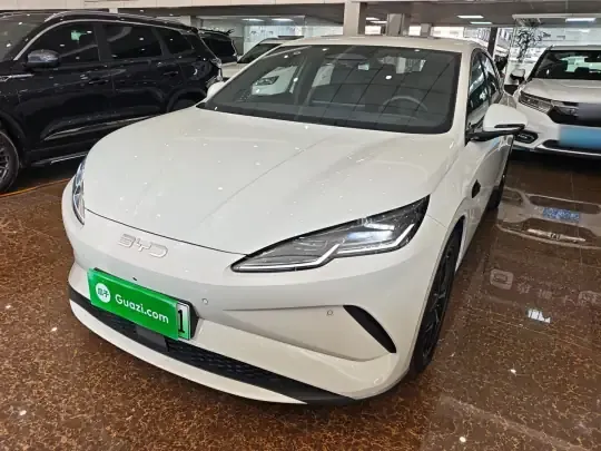 BYD Seal 06 New Energy 2025 (2400 км)