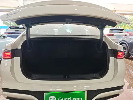 BYD Seal 06 New Energy 2025 (2400 км)