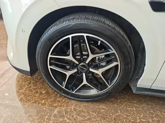 BYD Seal 06 New Energy 2025 (2400 км)