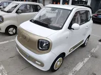 Bestune Pony 2026 (100 км)