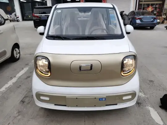 Bestune Pony 2026 (100 км)