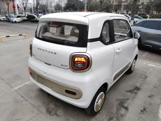 Bestune Pony 2026 (100 км)