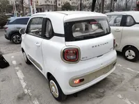 Bestune Pony 2026 (100 км)