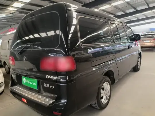 FORTHING Lingzhi 2025 (6800 км)