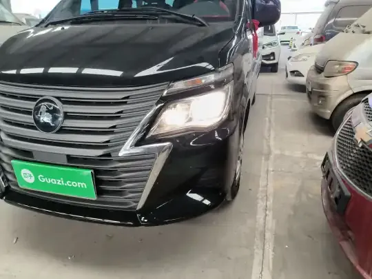 FORTHING Lingzhi 2025 (6800 км)