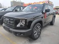 Haval DARGO 2026 (100 км)