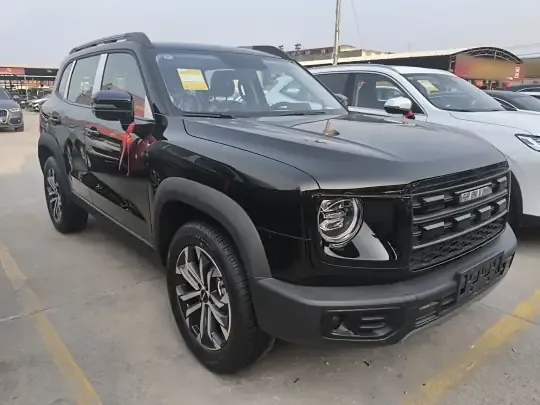 Haval DARGO 2026 (100 км)