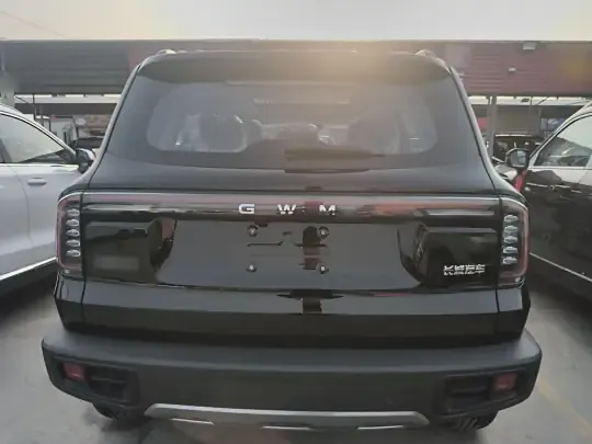 Haval DARGO 2026 (100 км)