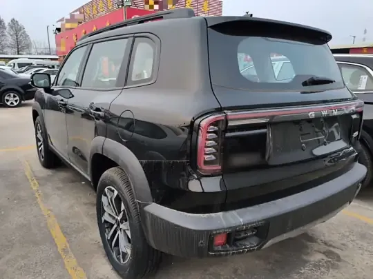 Haval DARGO 2026 (100 км)