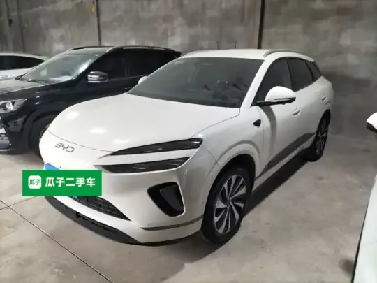BYD Sealion 06 New Energy 2025 (5200 км)