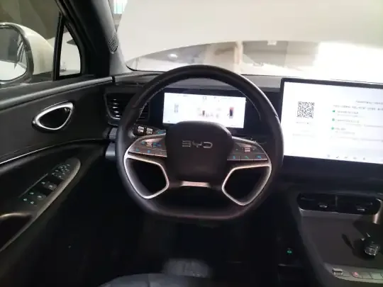 BYD Sealion 06 New Energy 2025 (5200 км)