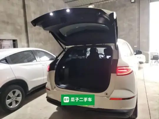 BYD Sealion 06 New Energy 2025 (5200 км)