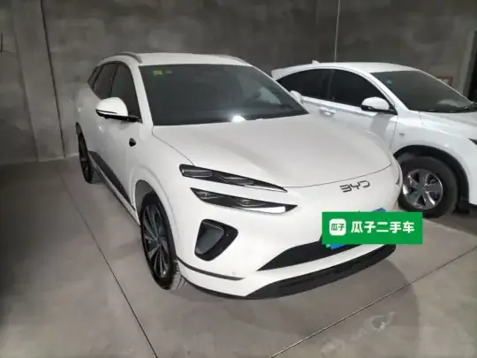 BYD Sealion 06 New Energy 2025 (5200 км)