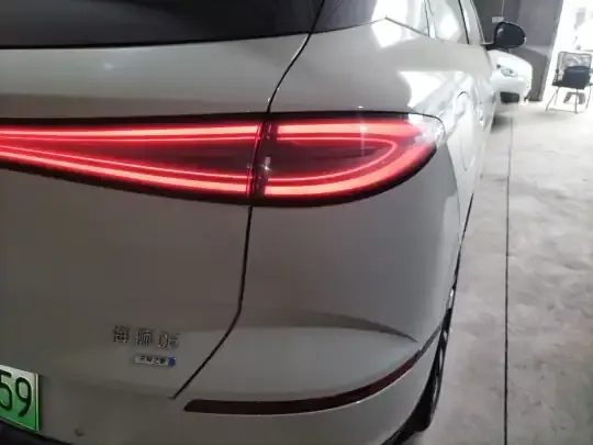 BYD Sealion 06 New Energy 2025 (5200 км)