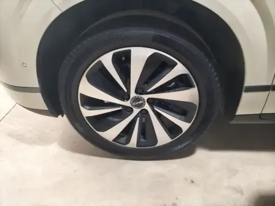 BYD Sealion 06 New Energy 2025 (5200 км)