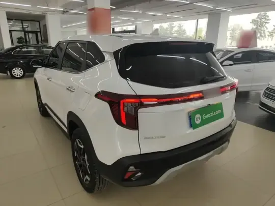 Kia Seltos 2026 (2300 км)