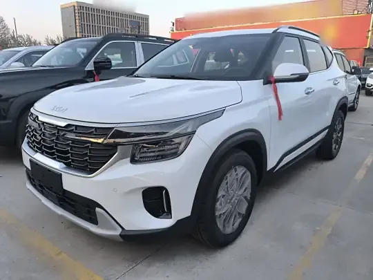 Kia Seltos 2026 (100 км)