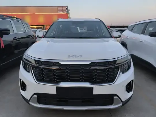 Kia Seltos 2026 (100 км)