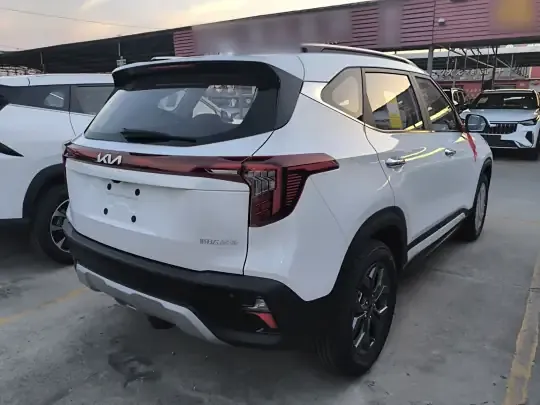 Kia Seltos 2026 (100 км)