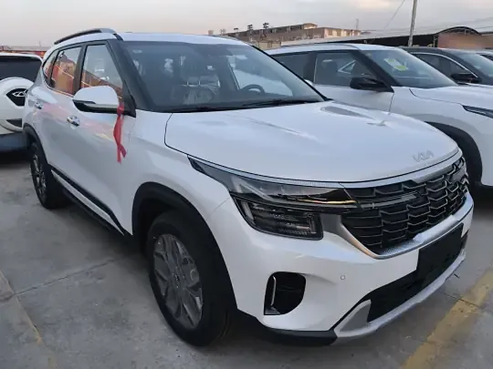Kia Seltos 2026 (100 км)