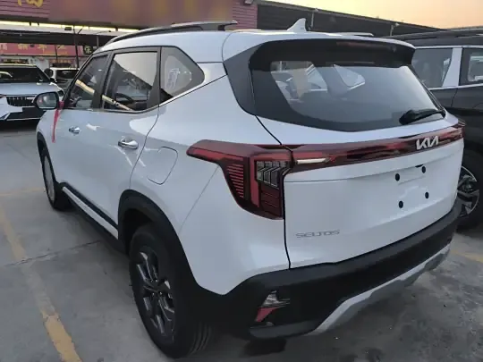 Kia Seltos 2026 (100 км)