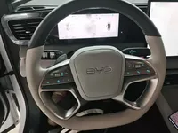 BYD Sealion 06 New Energy 2025 (6100 км)