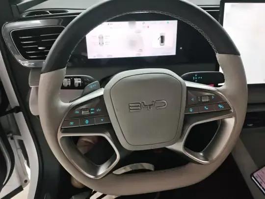 BYD Sealion 06 New Energy 2025 (6100 км)