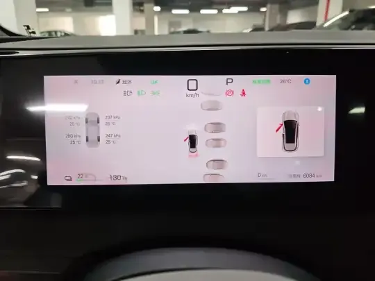 BYD Sealion 06 New Energy 2025 (6100 км)