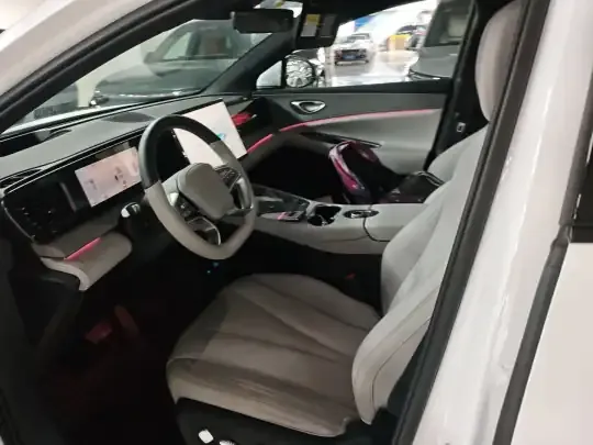 BYD Sealion 06 New Energy 2025 (6100 км)
