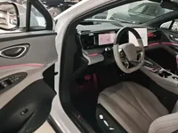 BYD Sealion 06 New Energy 2025 (6100 км)