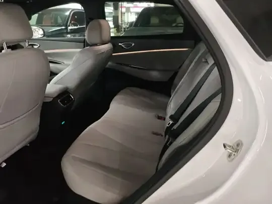 BYD Sealion 06 New Energy 2025 (6100 км)