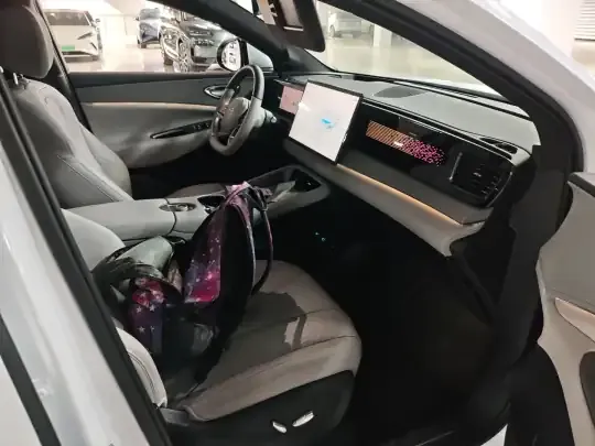 BYD Sealion 06 New Energy 2025 (6100 км)
