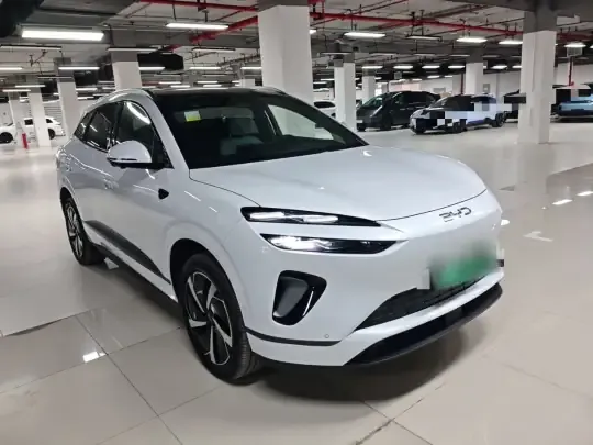 BYD Sealion 06 New Energy 2025 (6100 км)