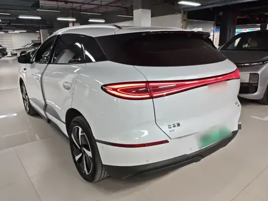 BYD Sealion 06 New Energy 2025 (6100 км)