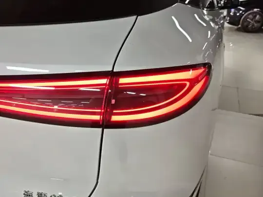 BYD Sealion 06 New Energy 2025 (6100 км)