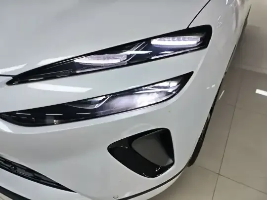 BYD Sealion 06 New Energy 2025 (6100 км)