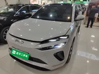 BYD Sealion 06 New Energy 2025 (15000 км)