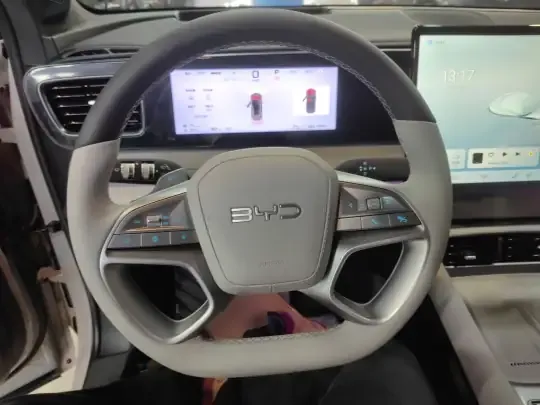 BYD Sealion 06 New Energy 2025 (15000 км)