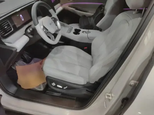 BYD Sealion 06 New Energy 2025 (15000 км)