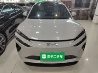 BYD Sealion 06 New Energy 2025 (15000 км)