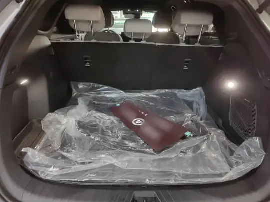 BYD Sealion 06 New Energy 2025 (15000 км)