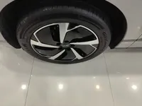 BYD Sealion 06 New Energy 2025 (15000 км)