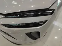 BYD Sealion 06 New Energy 2025 (15000 км)